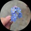 meilin_25